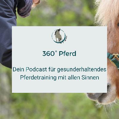 Was ist mit 360° Pferd los und wie wird es weitergehen?
