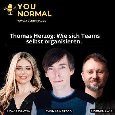 Thomas Herzog: Wie sich Teams selbst organisieren (124) Thomas Herzog: Wie sich Teams selbst organisieren (124)
