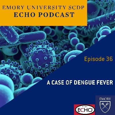 A Case of Dengue Fever
