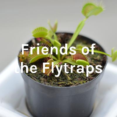 Friends of the Flytraps Podcast: Episode 1 Friends of the Flytraps Podcast: Episode 1