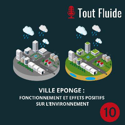Episode 10 - Villes éponges, une nouvelle façon de gérer l’eau en ville
