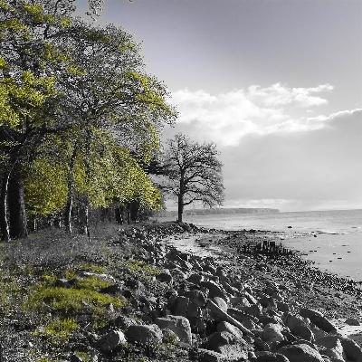 #44. Ode til en smuk, svensk pige #44. Ode til en smuk, svensk pige