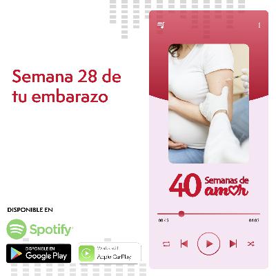 40 Semanas de Amor - Semana 28 de Embarazo