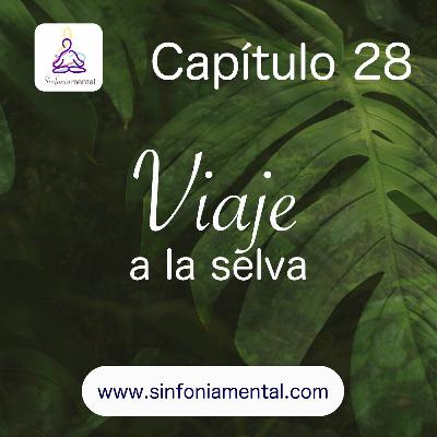 Fase VI - Capítulo 28: Viaje a La Selva