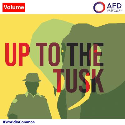 Introducing: Up To The Tusk