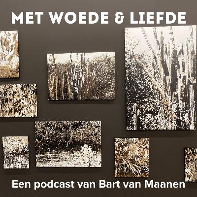 Tinkebells Oleum Shell Tinkebells Oleum Shell