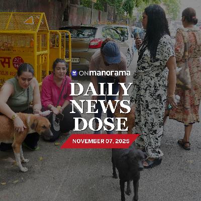 SC orders removal of stray animals from national highways – What is the order all about?