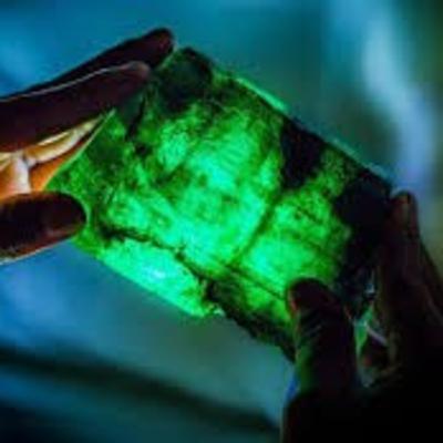 Điều bất ngờ từ truyện cổ tích "Viên ngọc ước và con quạ trả ơn"