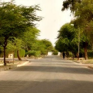 وصیت شیک مامان نرگس
