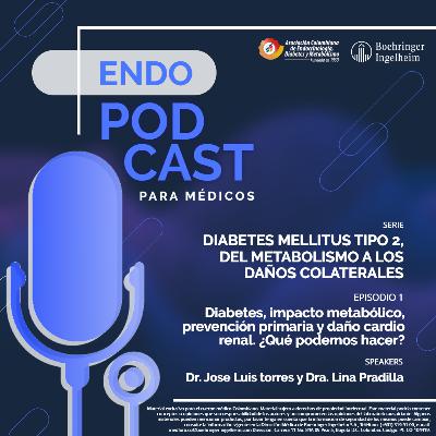 Serie 21 - Episodio 1 / Diabetes, impacto metabólico, prevención primaria y daño cardio renal ¿Qué podemos hacer?