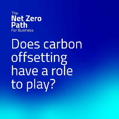 6. Does carbon offsetting have a role to play?