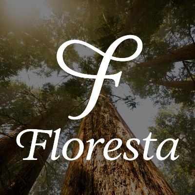 Floresta #6: Persoonlijke reflecties voor 2026 Floresta #6: Persoonlijke reflecties voor 2026