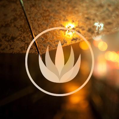 Quiet Summer Night Sound - Healing Rain Drop & Cricket Sound for Relaxing & Reading & Studying Quiet Summer Night Sound - Healing Rain Drop & Cricket Sound for Relaxing & Reading & Studying