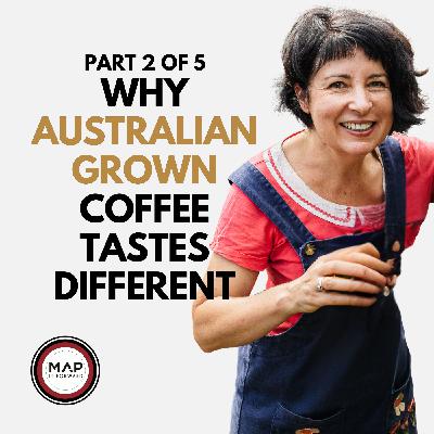 1547 | Part 2 of 5 | The Terroir of Australian Coffee (Rebecca Zentveld)
