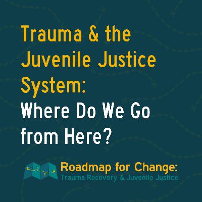 Trauma and the Juvenile Justice System: Where Do We Go From Here?