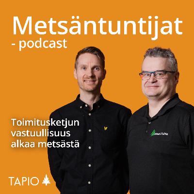 Toimitusketjun vastuullisuus alkaa metsästä