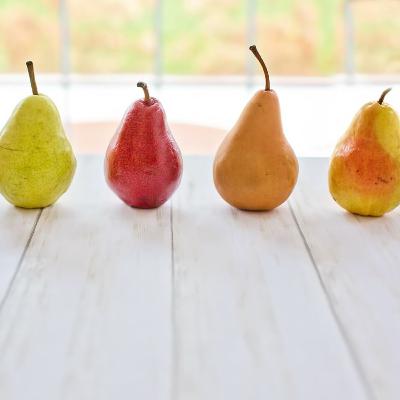 Cosa può dirci su noi stessi ciò che impariamo sugli altri? Cosa può dirci su noi stessi ciò che impariamo sugli altri?