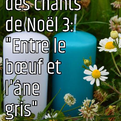 Le message des chants de Noël 3: "Entre le bœuf et l'âne gris"