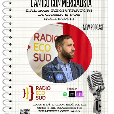 L'amico commercialista 23 puntata