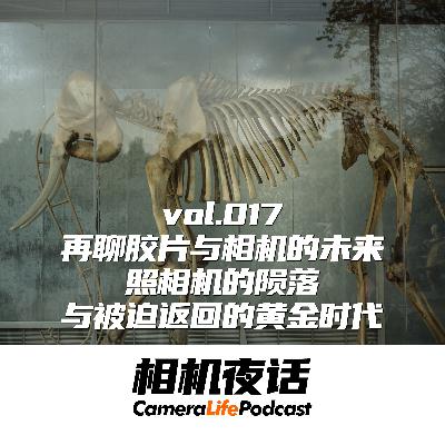 相机夜话 Vol.17 再聊胶片与摄影的未来：照相机的陨落与被迫返回的黄金时代