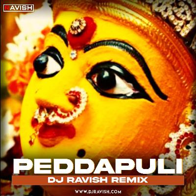 DJ Ravish - Peddapuli (Remix)