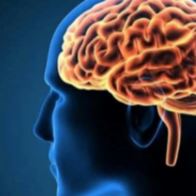 The Brain in The Gulf of Morrosquillo