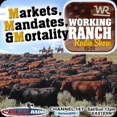 Ep 231: Markets, Mandates, and Mortality w/ Dr. Nevil Speer