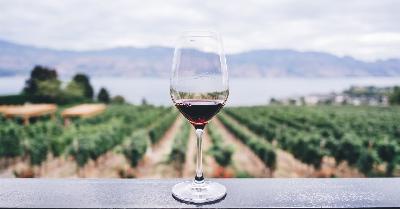 Puntata speciale Vinitaly 2025: dealcolati e mixology le nuove scommesse del vino