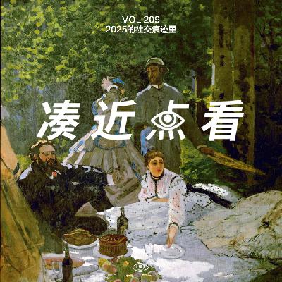 VOL 209 - 2025的社交痕迹里：当生活送上大份便当，千头万绪唯有消散如烟