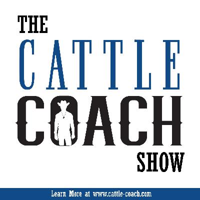 The Old Way Of Selling Cattle is DEAD