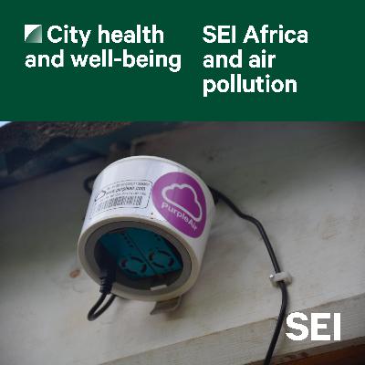 SEI Africa and air pollution SEI Africa and air pollution