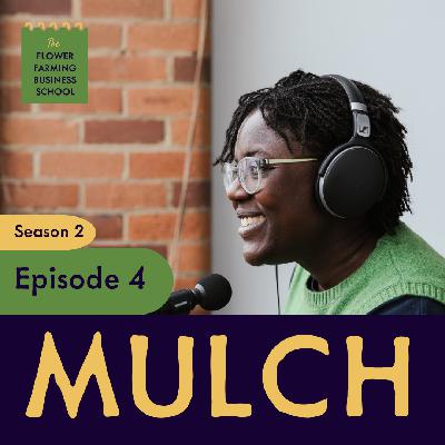 What's your name and where do you come from?!