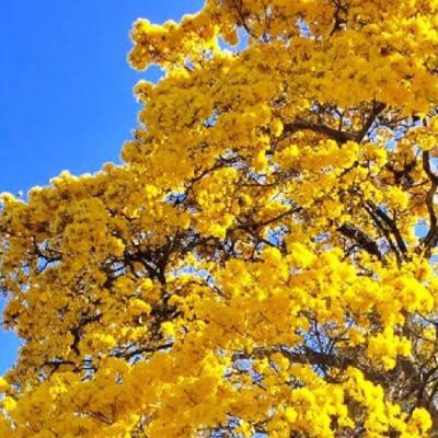 お返しトーク!と雑談(いつも雑談だけど) from Radiotalk お返しトーク!と雑談(いつも雑談だけど) from Radiotalk