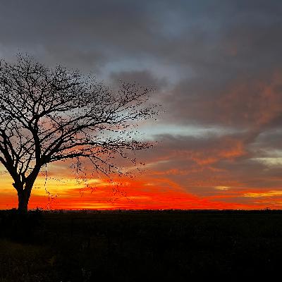 The Stories of Faith -Henry Wall
