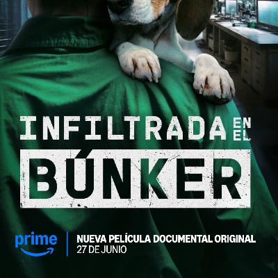 Ep. 207: Eine kriminelle Episode