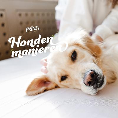 Afl. 15: Moet jouw hond naar de hondenosteopaat?