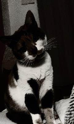 L’oracle de la semaine depuis le 10 décembre 2025 L’oracle de la semaine depuis le 10 décembre 2025