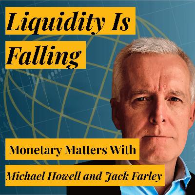 The Liquidity Divergence Between East and West | Michael Howell on Deteriorating Federal Liquidity While People’s Bank of China (PBOC) Injects Stimulus and Pumps Gold