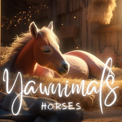 Horses 🐴