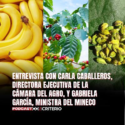 Aranceles Estados Unidos: lo que cambia para Guatemala