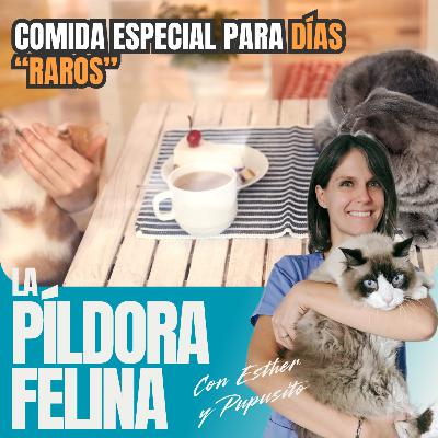 573. Comida especial para DÍAS “RAROS” 573. Comida especial para DÍAS “RAROS”