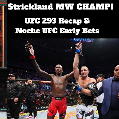 UFC 293 Recap | Noche UFC Early Picks | MMA Degens Ep. 9