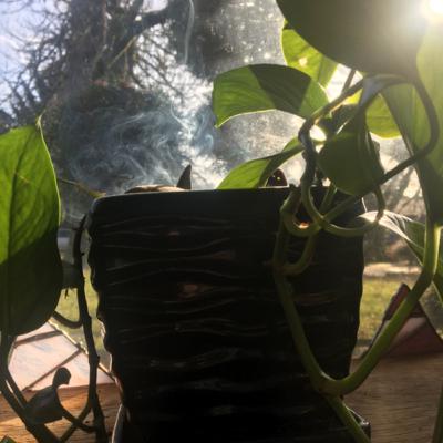 Episode 2: Jawa the Pothos
