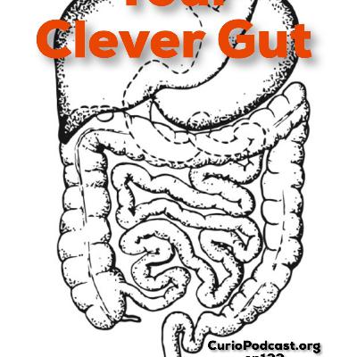 Episode 122: Your Clever Gut Episode 122: Your Clever Gut