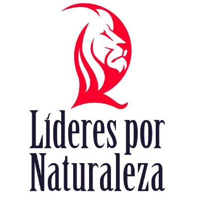 Análisis de los 4 Acuerdos - Mauricio Castillo Sánchez Análisis de los 4 Acuerdos - Mauricio Castillo Sánchez