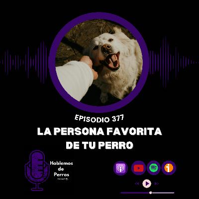 EP377# La persona favorita de mi perro
