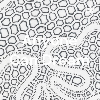 Sexual Assault Informational Speech