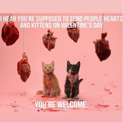 Ep 47- "We know the REAL holiday is Feb. 15th- sale chocolate FTW!"