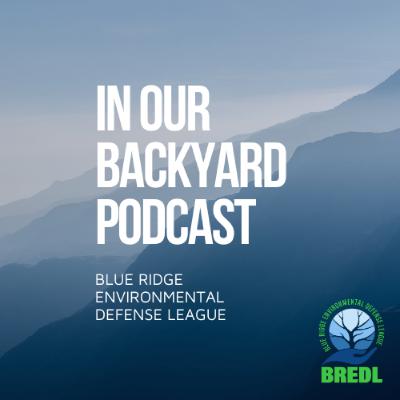 30. Ecology Beyond Data: Emotion, Storytelling, and Systems Change