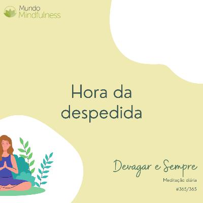 "Devagar e Sempre" - 365 de 365 - Hora da despedida